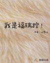 我是福瑞控文章列表