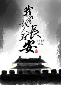 我有故人在长安章节列表